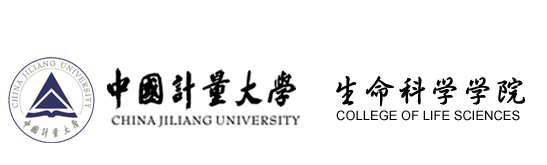 365在线体育投注官方网站